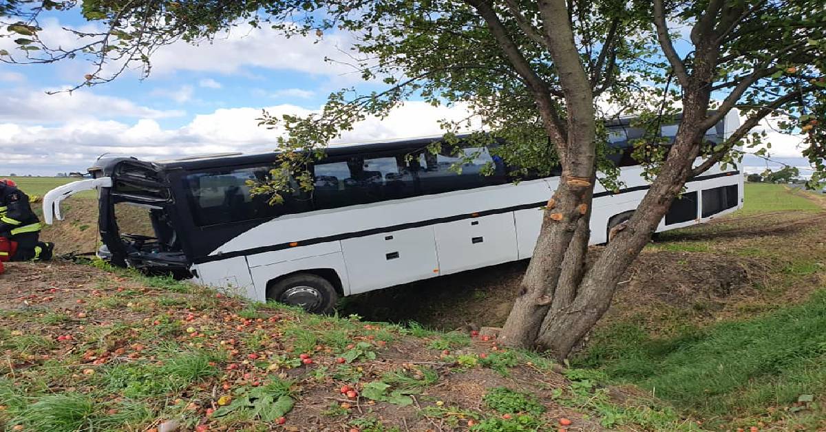 Wypadek Autobusu Z Przedszkolakami 14 Dzieci W Szpitalu Popularne